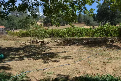 9306 Placer Rd, Redding, CA 96001 photo 3