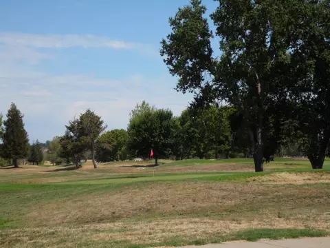 22327 Golftime Dr, Palo Cedro, CA 96073 photo 41