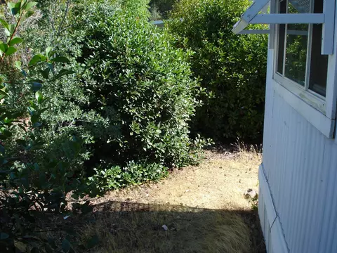 4542 Chippewa Ln, Redding, CA 96003 photo 7