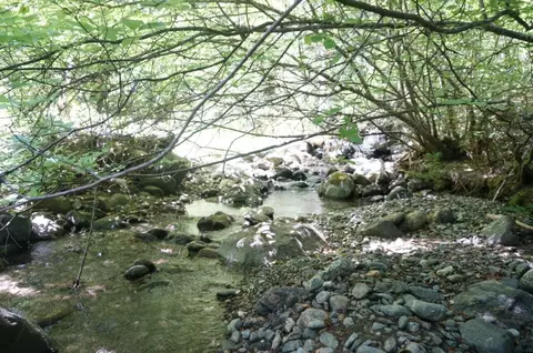 601 Branch Rd, Weaverville, CA 96093 photo 3