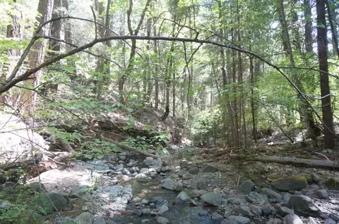 601 Branch Rd, Weaverville, CA 96093 photo 22