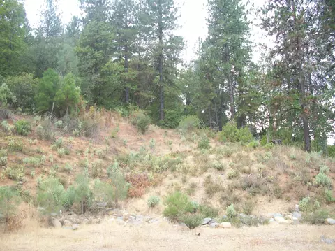 14293 Indian Acres Trl, Redding, CA 96003 photo 5
