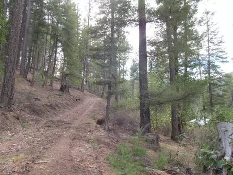 3080 State Highway 3, Hayfork, CA 96041 photo 1