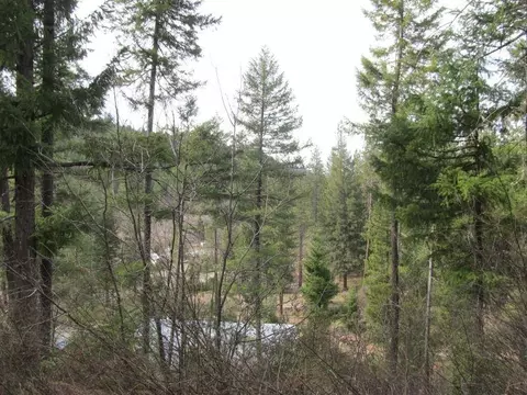 3080 State Highway 3, Hayfork, CA 96041 photo 8