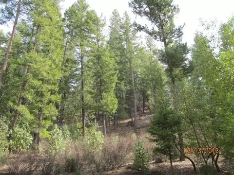 3080 State Highway 3, Hayfork, CA 96041 photo 7