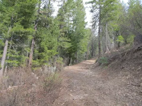 3080 State Highway 3, Hayfork, CA 96041 photo 2