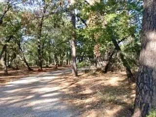 28633 State Highway 44, Shingletown, CA 96088 photo 5