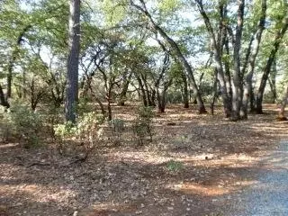 28633 State Highway 44, Shingletown, CA 96088 photo 4