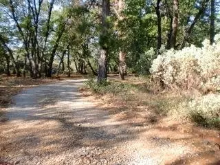 28633 State Highway 44, Shingletown, CA 96088 photo 2