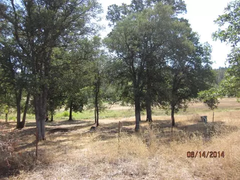 29246 Westmoore Rd, Shingletown, CA 96088 photo 3