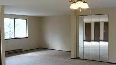 5531 Harbor View Dr, Weed, CA 96094 photo 5