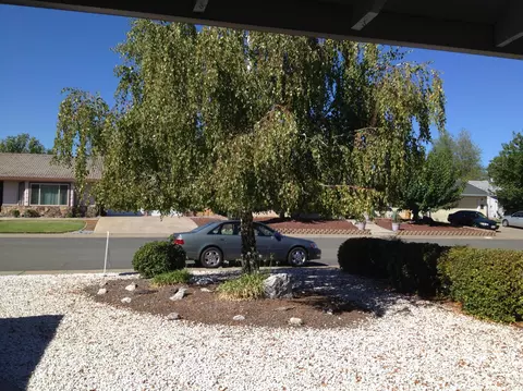 375 Rosewood Dr, Redding, CA 96003 photo 24