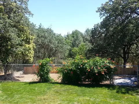 2503 Placer St, Redding, CA 96001 photo 4