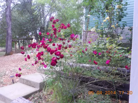 19093 Robledo Way, Redding, CA 96003 photo 44