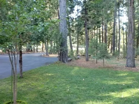 34530 State Highway 44, Shingletown, CA 96088 photo 42