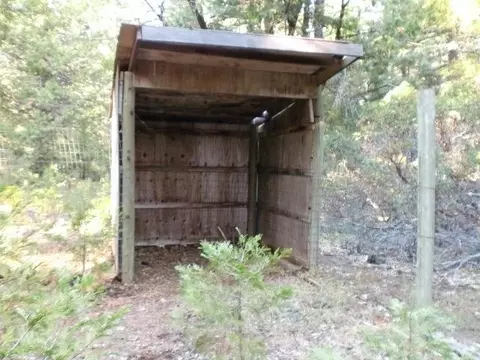 34530 State Highway 44, Shingletown, CA 96088 photo 31