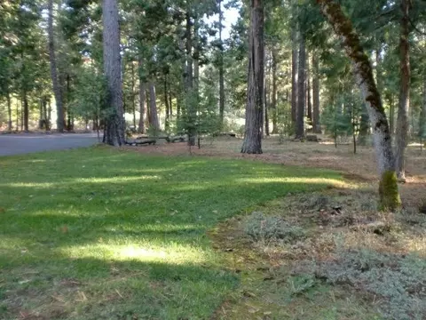 34530 State Highway 44, Shingletown, CA 96088 photo 40