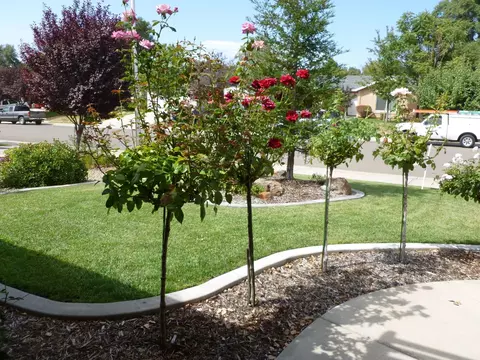 1057 Monterra Ln, Redding, CA 96002 photo 44