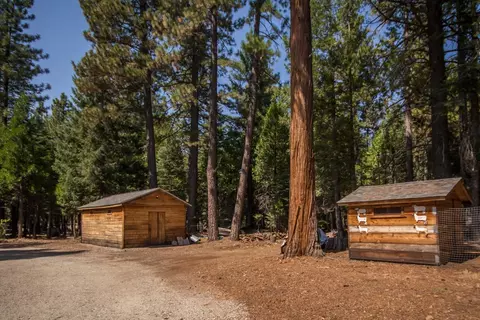 8111 Pine Frst, Shingletown, CA 96088 photo 16
