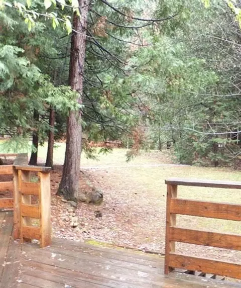 15679 Phillips Rd, Oak Run, CA 96069 photo 10