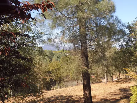 4520 Underwood Dr, Redding, CA 96003 photo 23