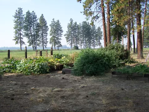 21860 Cable Rd, Mcarthur, CA 96056 photo 16