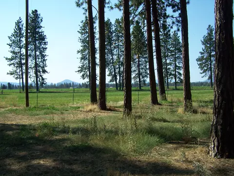 21860 Cable Rd, Mcarthur, CA 96056 photo 19