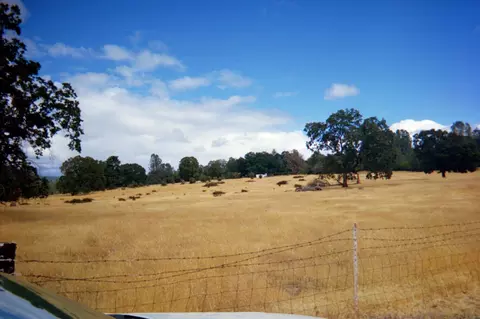 21660 Manton School Rd, Manton, CA 96059 photo 18