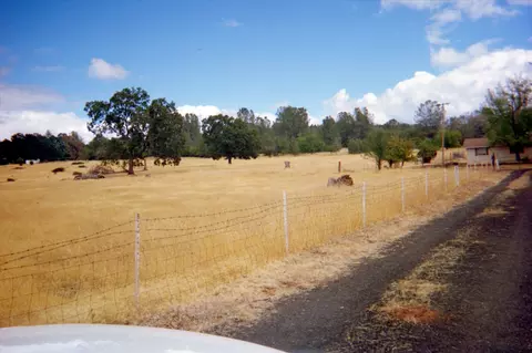 21660 Manton School Rd, Manton, CA 96059 photo 15