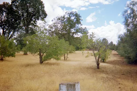 21660 Manton School Rd, Manton, CA 96059 photo 17