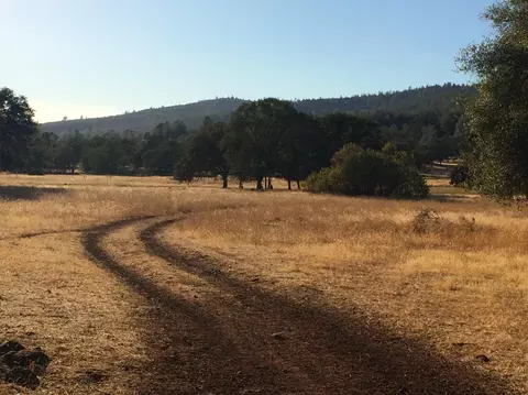 4955 Wilson Hill Rd, Manton, CA 96059 photo 12