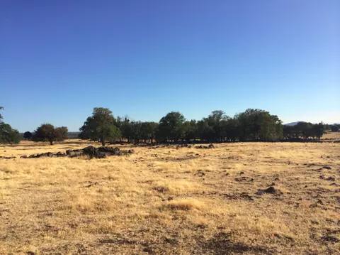 4955 Wilson Hill Rd, Manton, CA 96059 photo 5