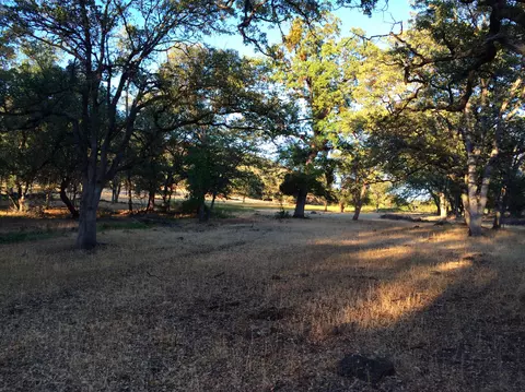 4955 Wilson Hill Rd, Manton, CA 96059 photo 48