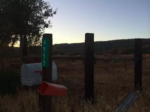 4955 Wilson Hill Rd, Manton, CA 96059 photo 79