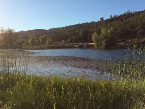 4955 Wilson Hill Rd, Manton, CA 96059 photo 25