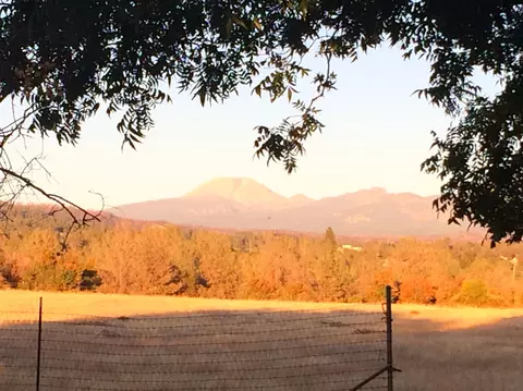 4955 Wilson Hill Rd, Manton, CA 96059 photo 66