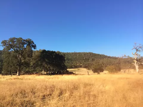 4955 Wilson Hill Rd, Manton, CA 96059 photo 8