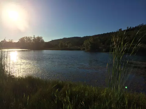 4955 Wilson Hill Rd, Manton, CA 96059 photo 26