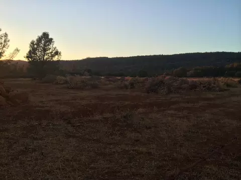 4955 Wilson Hill Rd, Manton, CA 96059 photo 80