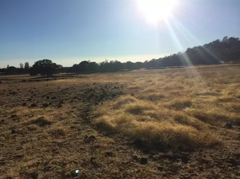 4955 Wilson Hill Rd, Manton, CA 96059 photo 2