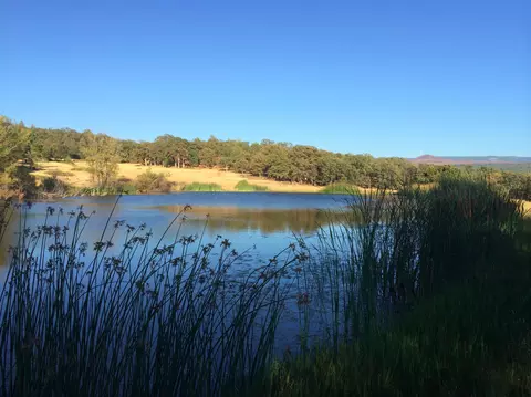 4955 Wilson Hill Rd, Manton, CA 96059 photo 18