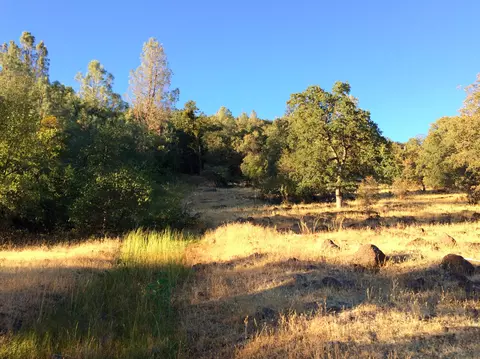 4955 Wilson Hill Rd, Manton, CA 96059 photo 36