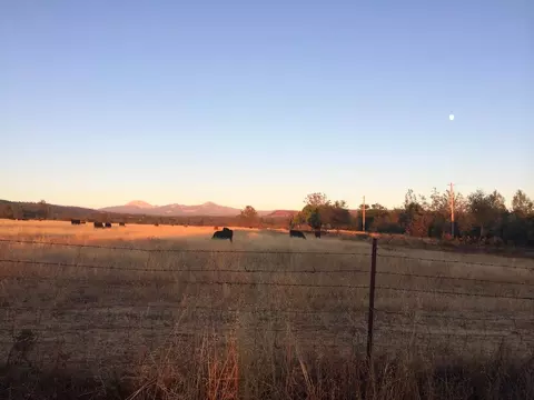 4955 Wilson Hill Rd, Manton, CA 96059 photo 78