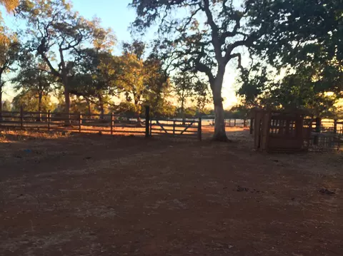 4955 Wilson Hill Rd, Manton, CA 96059 photo 59