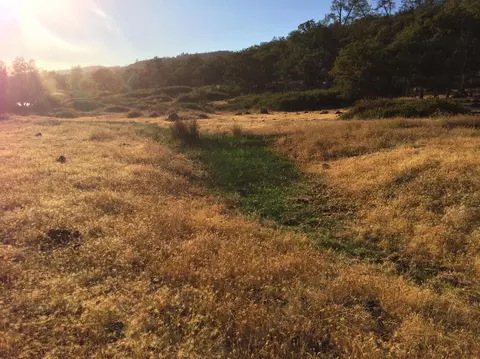 4955 Wilson Hill Rd, Manton, CA 96059 photo 29
