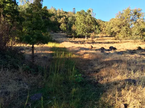 4955 Wilson Hill Rd, Manton, CA 96059 photo 35