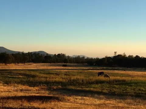 4955 Wilson Hill Rd, Manton, CA 96059 photo 52