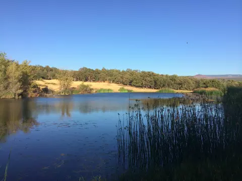 4955 Wilson Hill Rd, Manton, CA 96059 photo 19