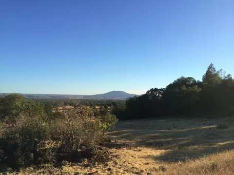 4955 Wilson Hill Rd, Manton, CA 96059 photo 17