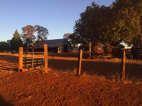4955 Wilson Hill Rd, Manton, CA 96059 photo 58